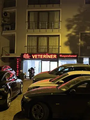 Myvet Veteriner Kliniği