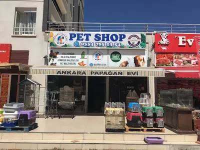 Ankara Papağan Evi Pet Shop