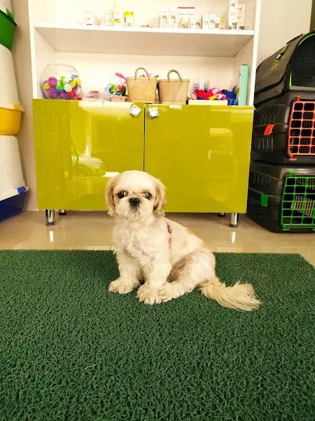 VetAnka Veteriner Kliniği foto 2