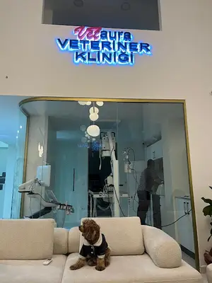 VETAURA VETERİNER KLİNİĞİ 7/24 ACİL VETERİNER BEYLİKDÜZÜ