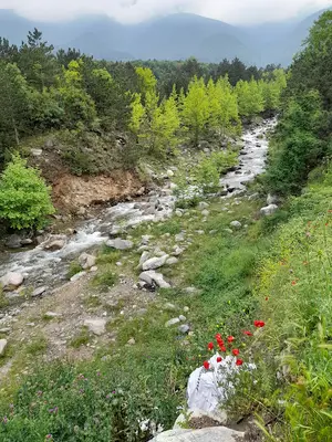 Yıldırım Belediyesi Sahipsiz Hayvan Barınağı