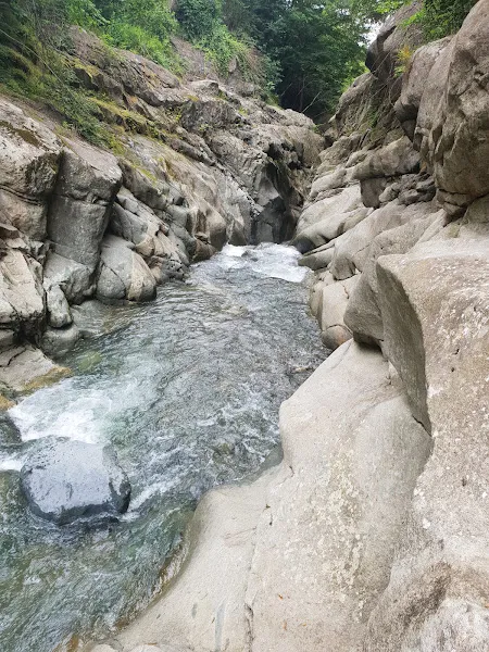 ÇAMAŞ TOPLUM SAĞLIĞI MERKEZİ foto 2