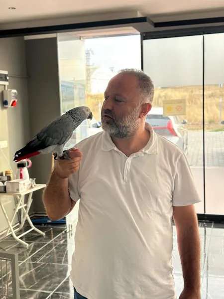 Başak veterinerlik foto 2