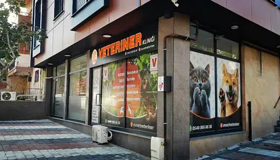 EvVet Veteriner Kliniği