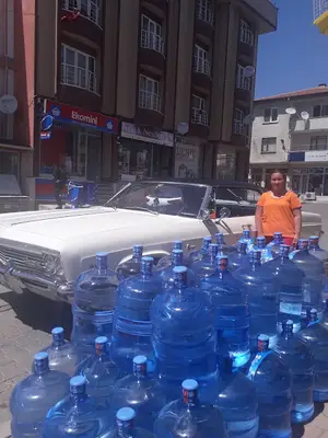 Ece Ticaret