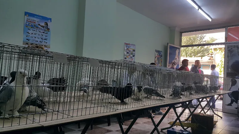 Kemalpaşa Kuş Evi Soğukpinar Mahallesi foto 1