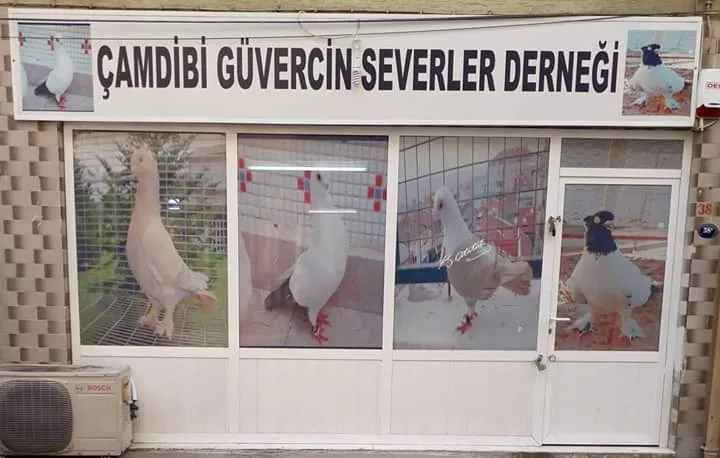 Kemalpaşa Kuş Evi Soğukpinar Mahallesi foto 2