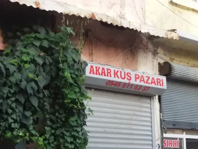 Akar Kuş Pazarı