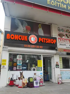 Boncuk PETSHOP kahramankazan