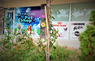 Virtual Pet Shop