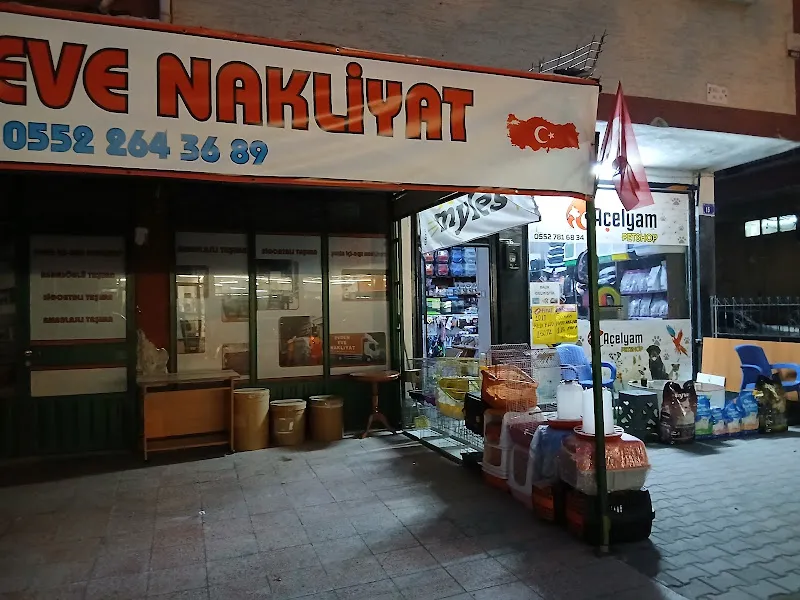 Açelyam Petshop foto 2