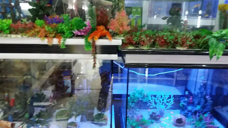 Akdeniz Akvaryum foto 2