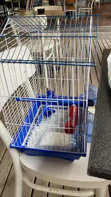 Demetevler Petshop - Mercan Akvaryum - Kuş Galerisi