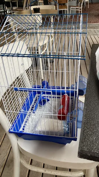 Demetevler Petshop - Mercan Akvaryum - Kuş Galerisi foto 1