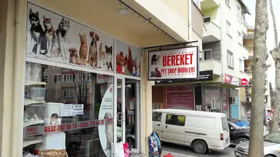 Bereket Petshop İpek Yem Bayi