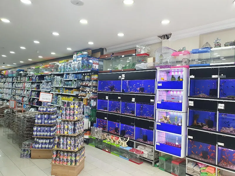 Dilmaçlar Cadde, Bonisa Petshop, Av Malzemeleri, Evcil Hayvan Ürünleri, Akvaryum foto 2