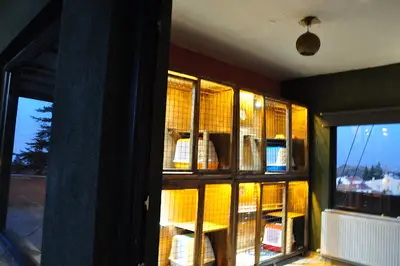 Kuyruklu köşk