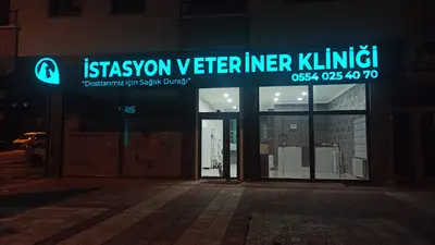 Etimesgut İstasyon Veteriner Kliniği
