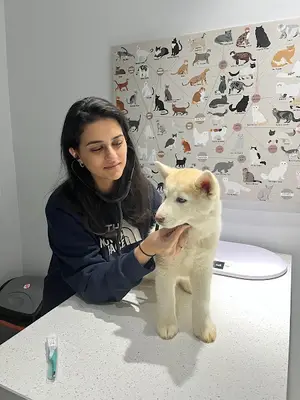 BETA Küçükçekmece Veteriner Kliniği VETERİNER