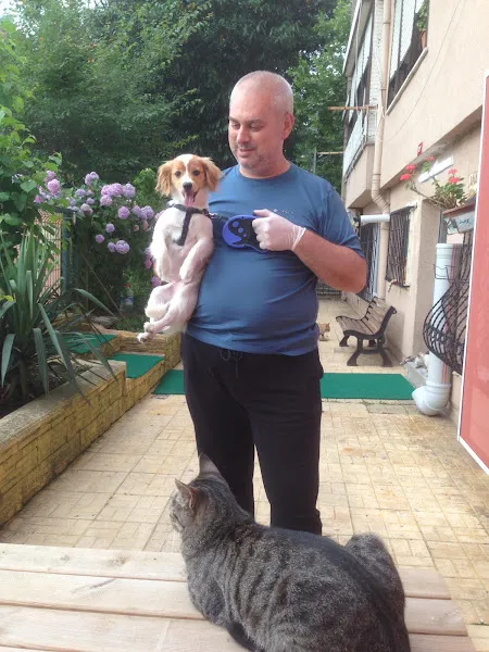 Dostlar veteriner kliniği foto 2