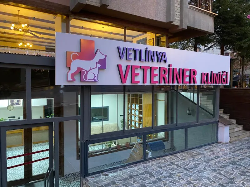 Vetlinya Veteriner Kliniği foto 1