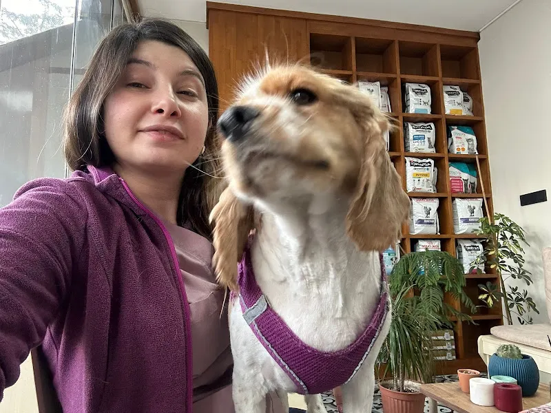 Vetlinya Veteriner Kliniği foto 2