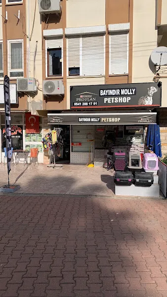 BAYINDIR MOLLY PETSHOP foto 1