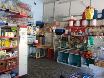 Yemci Selçuk