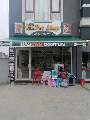 Süs Hayvanları