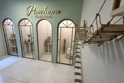 Kedi Oteli Paw Home Küçükçekmece Halkalı