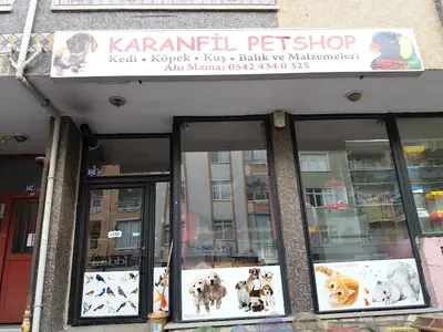 Karanfil Petshop