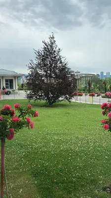 Defne Yem Ve Tarım Ür.Ltd.Şti.