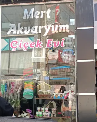 Mert Akvaryum Çiçek Evi Petshop Şube