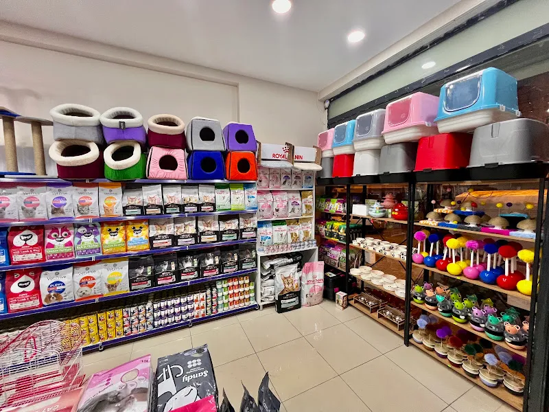 Animals World Petshop Zeytinburnu foto 2