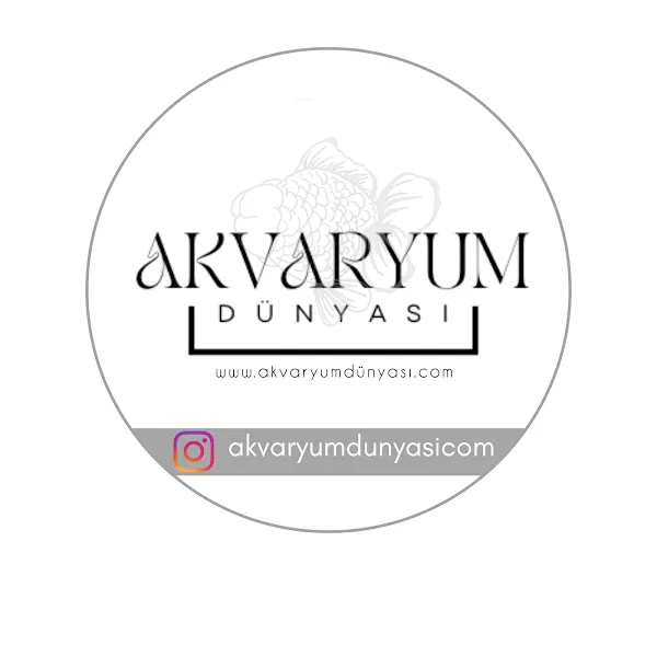 Akvaryum Dünyası foto 2
