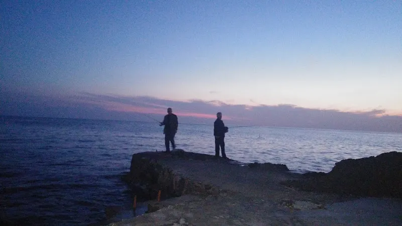 akvaryum foto 1