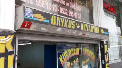 Tanganika Akvaryum