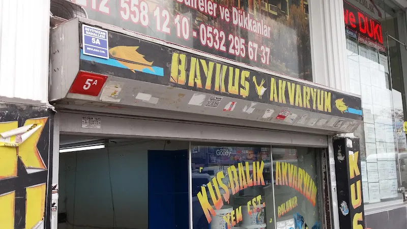 Tanganika Akvaryum foto 1
