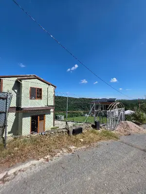 İstanbul Köpek Eğitimi - Harmony