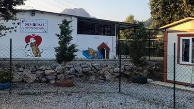 Sevpati Pet (Pet Pansiyon & Pet Kuaför & Pet Shop)