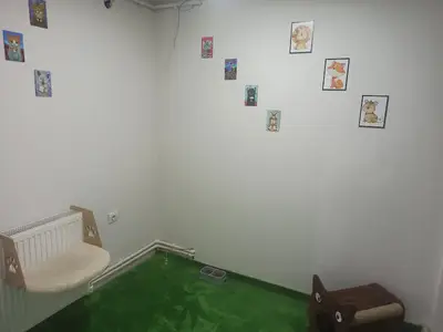 Van Tarçın Pet Veteriner Kliniği