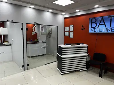 ESENLER BATI VETERİNER KLİNİĞİ 7/24 ACİL