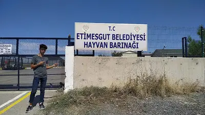 Hayvan Barınağı