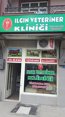 Kovet Veterinerlik
