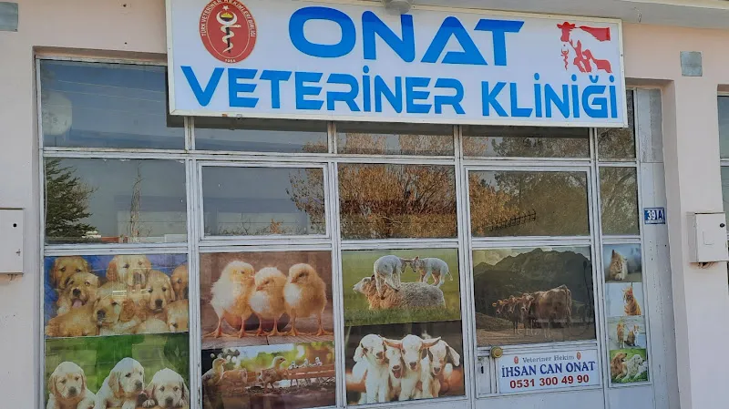 Veteriner Hekim Mehmet Agah Canpolat foto 1