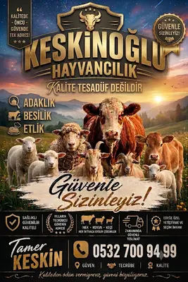 Keskinoğlu hayvancılık