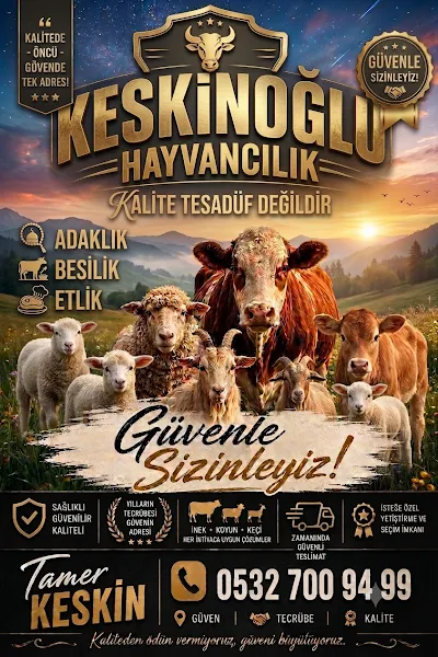 Keskinoğlu hayvancılık foto 1