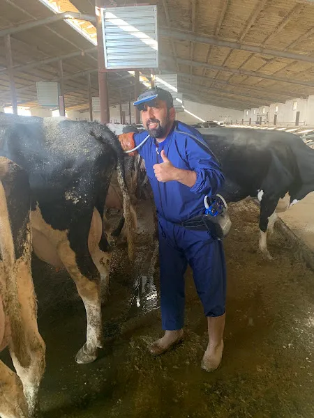 Harput Veteriner Kliniği foto 2