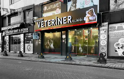 Bayrampaşa LariaVet Veteriner Kliniği