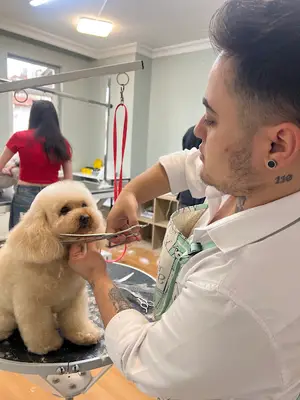 Çayyolu Pet Grooming